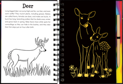 Forest Friends Scratch & Sketch™