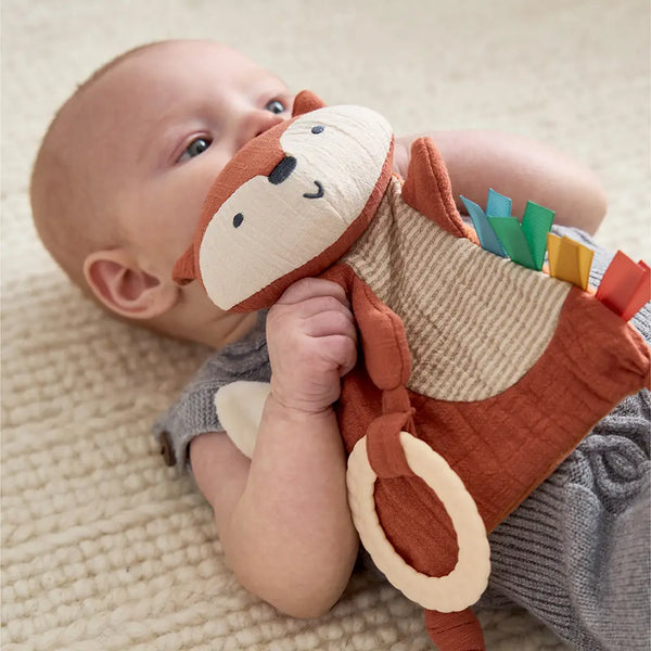 Bitzy Crinkle Sensory Toy