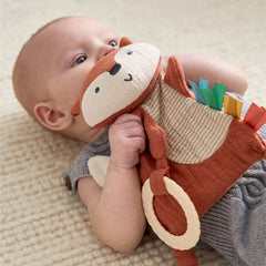 Bitzy Crinkle Sensory Toy