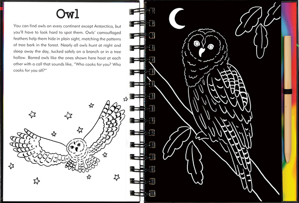 Forest Friends Scratch & Sketch™