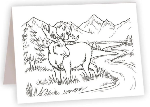 Coloring Card