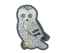 NoSo Patch - Snowy Owl